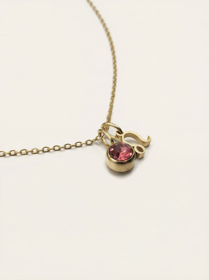 BIRTHSTONE NECKLACE